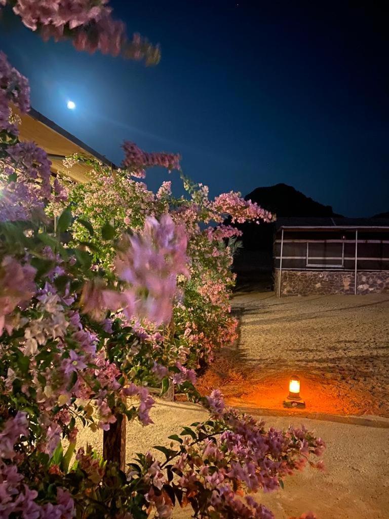 Moon Night Camp Hotel Wadi Rum Exterior photo
