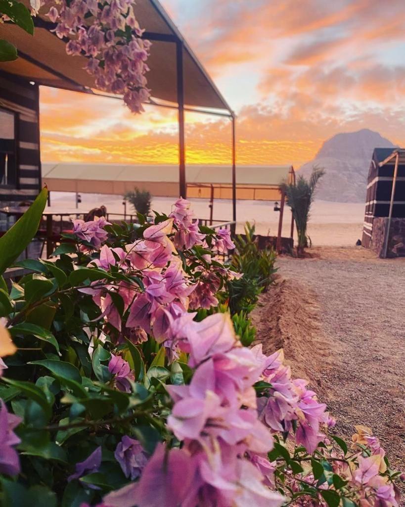 Moon Night Camp Hotel Wadi Rum Exterior photo